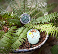 Veranda Fern 3.5 Oz Mason Jar